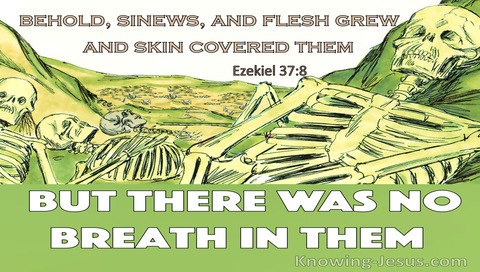 Ezekiel 37:8 The Valley Of Dry Bones (green)